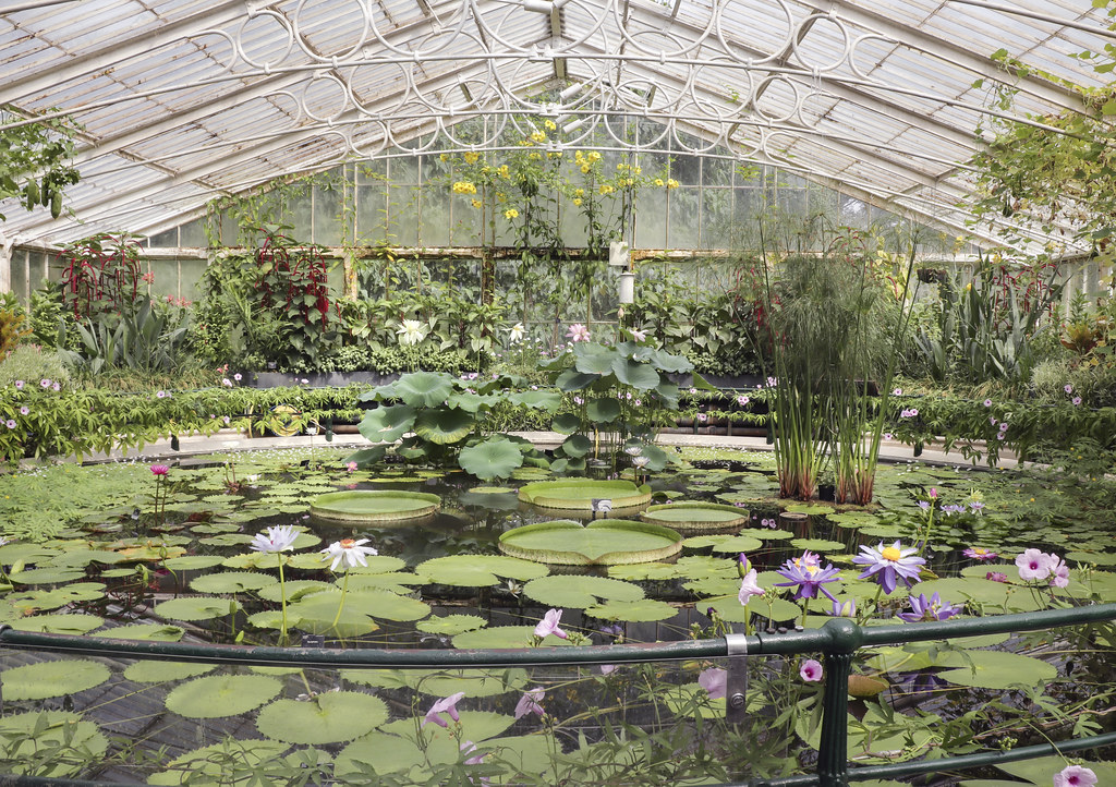 Viaggio virtuale alla scoperta dei giardini botanici più belli del mondo